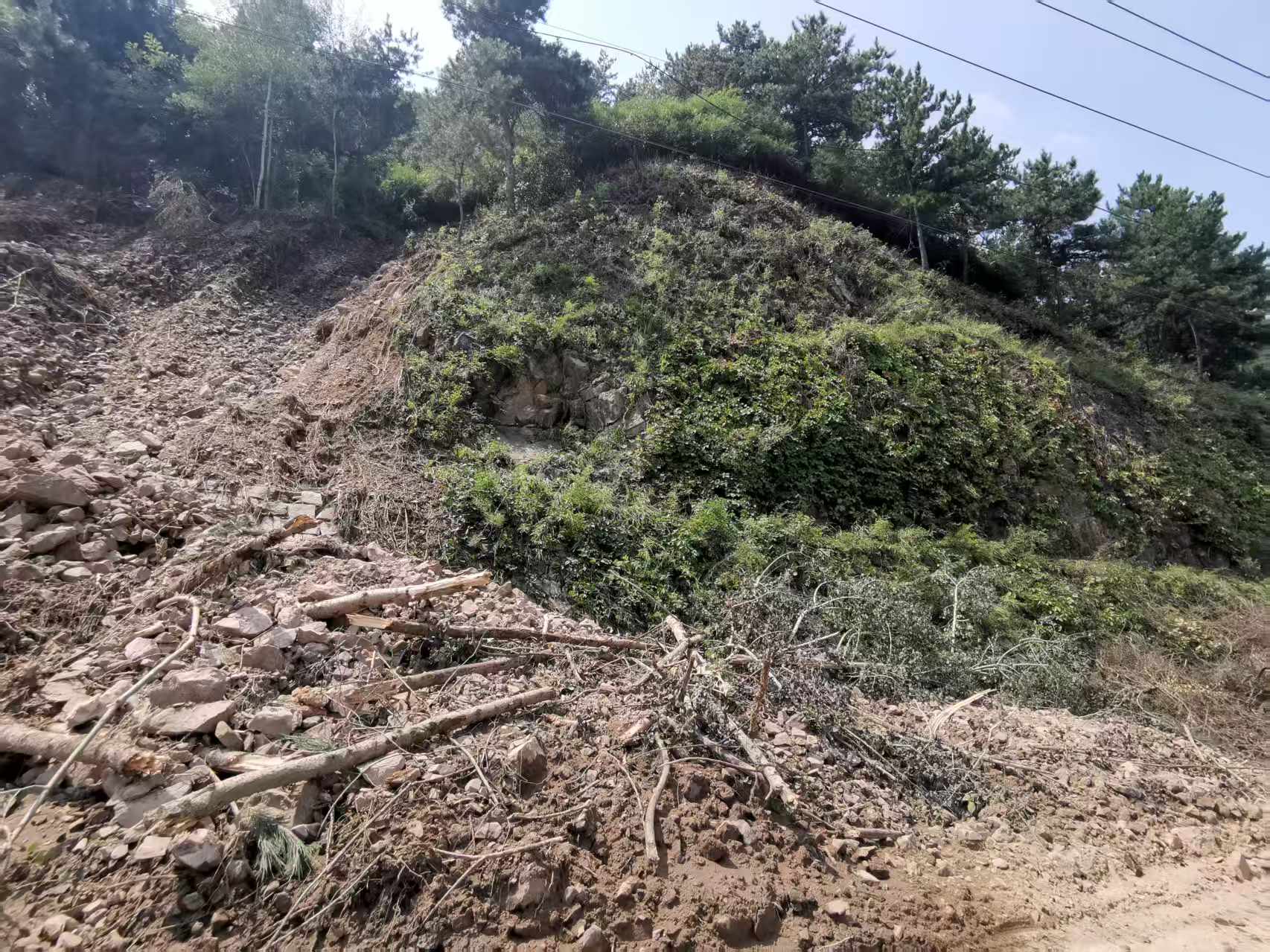abpay爱博钱包官网 - 极致清静