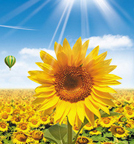 abpay爱博钱包官网 - 极致清静