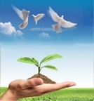 abpay����Ǯ������ - �����徲